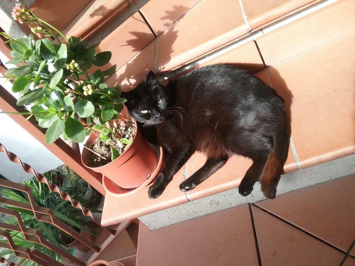 Appartamento Relax Terni Exteriér fotografie